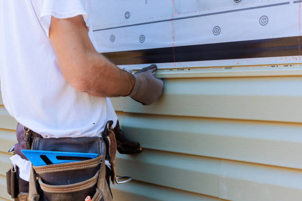 Best Vinyl Siding Installation  in Ivins, UT